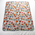 Factory Price 100% Polyester Cheap Fleece Blankets in Bulk Fleece Blanket with Print